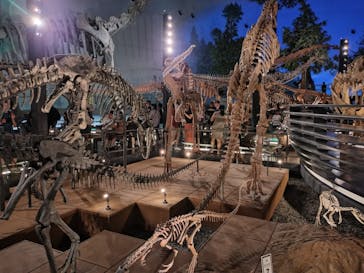 福井県立恐竜博物館に投稿された画像（2025/8/16）