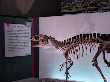 福井県立恐竜博物館に投稿された画像（2025/8/16）