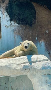 天王寺動物園に投稿された画像（2025/8/16）