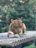 東京動物園協会_多摩動物公園に投稿された画像（2025/8/16）