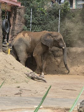 東京動物園協会_多摩動物公園に投稿された画像（2025/8/16）