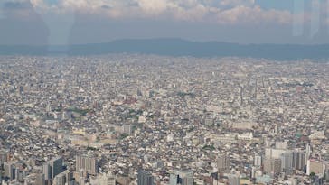 ハルカス300(展望台)に投稿された画像（2025/8/16）