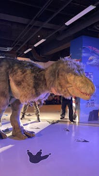 最強王図鑑フェスティバル in 東京タワーに投稿された画像（2025/8/16）