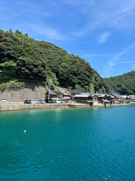 伊根湾めぐり遊覧船に投稿された画像（2025/8/16）