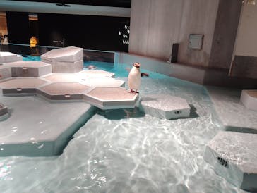 AOAO SAPPOROに投稿された画像（2025/8/16）