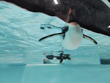 AOAO SAPPOROに投稿された画像（2025/8/16）