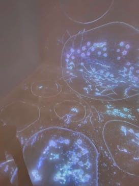 魔法の美術館 2025 光と遊ぶ超体験型ミュージアム ~この夏、美術館が魔法にかけられる~に投稿された画像（2025/8/16）