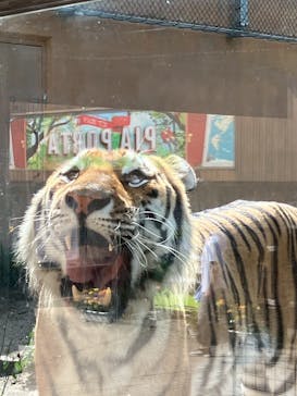 那須どうぶつ王国に投稿された画像（2025/8/16）