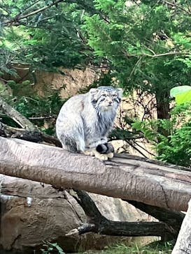 那須どうぶつ王国に投稿された画像（2025/8/16）