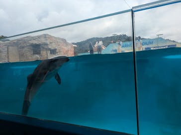 下田海中水族館に投稿された画像（2025/8/16）