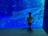 のとじま水族館に投稿された画像（2025/8/16）