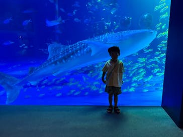 のとじま水族館に投稿された画像（2025/8/16）