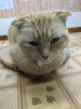 那須どうぶつ王国に投稿された画像（2025/8/16）