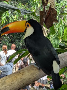 那須どうぶつ王国に投稿された画像（2025/8/16）