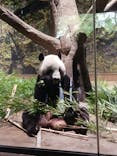 恩賜上野動物園に投稿された画像（2025/8/16）