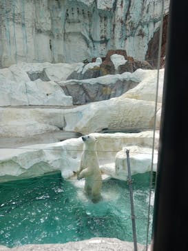 恩賜上野動物園に投稿された画像（2025/8/16）