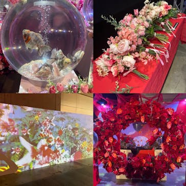 錦鯉・金魚アクアリウム in ときメッセに投稿された画像（2025/8/16）