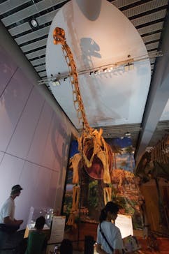 巨大恐竜展2025に投稿された画像（2025/8/16）