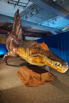 巨大恐竜展2025に投稿された画像（2025/8/16）