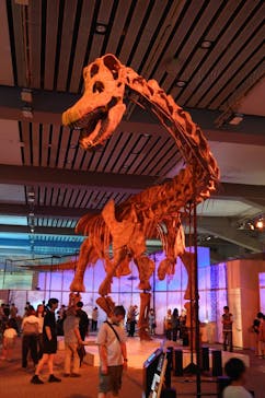 巨大恐竜展2025に投稿された画像（2025/8/16）