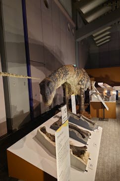 巨大恐竜展2025に投稿された画像（2025/8/16）