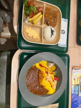 福井県立恐竜博物館に投稿された画像（2025/8/16）