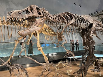 福井県立恐竜博物館に投稿された画像（2025/8/16）