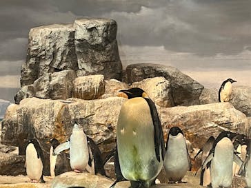 名古屋港水族館に投稿された画像（2025/8/16）