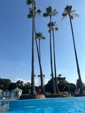 久宝寺緑地プールに投稿された画像（2025/8/16）