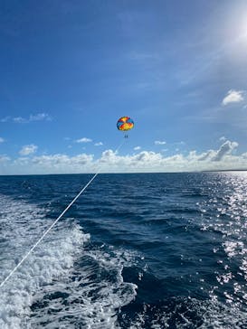 parasailing NOA（パラセーリング  ノア）に投稿された画像（2025/8/16）