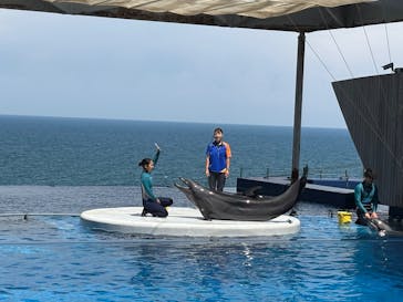 上越市立水族博物館 うみがたりに投稿された画像（2025/8/16）