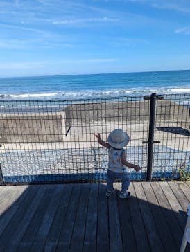 鴨川シーワールドに投稿された画像（2025/8/16）