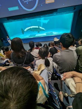 鴨川シーワールドに投稿された画像（2025/8/16）