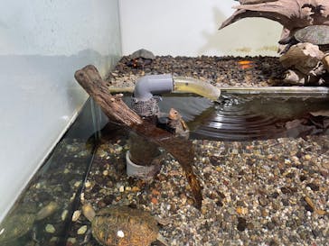 鴨川シーワールドに投稿された画像（2025/8/16）