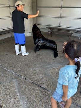 大分マリーンパレス水族館 「うみたまご」に投稿された画像（2025/8/16）