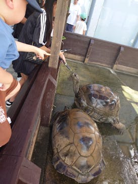 世界淡水魚園水族館　アクア・トトぎふに投稿された画像（2025/8/16）