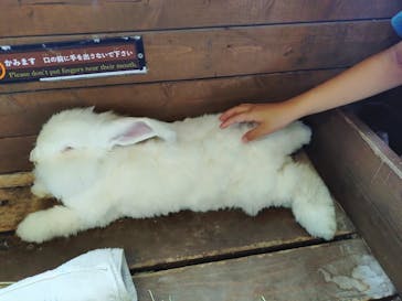 那須どうぶつ王国に投稿された画像（2025/8/16）