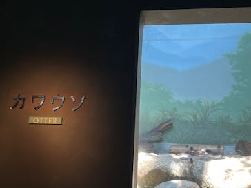 世界淡水魚園水族館　アクア・トトぎふに投稿された画像（2025/8/16）