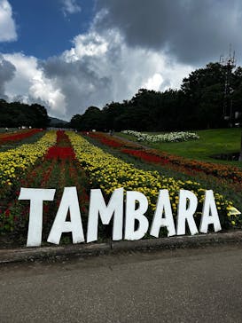 たんばらラベンダーパークに投稿された画像（2025/8/16）