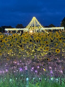 せんだい農業園芸センター　みどりの杜に投稿された画像（2025/8/16）