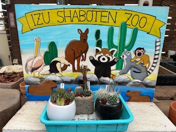 伊豆シャボテン動物公園に投稿された画像（2025/8/16）