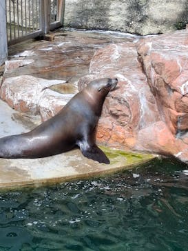 城崎マリンワールドに投稿された画像（2025/8/16）