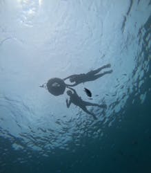 B-nature（ビーネイチャー）に投稿された画像（2025/8/16）