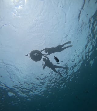 B-nature（ビーネイチャー）に投稿された画像（2025/8/16）