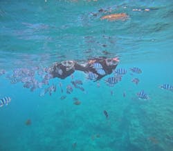 B-nature（ビーネイチャー）に投稿された画像（2025/8/16）