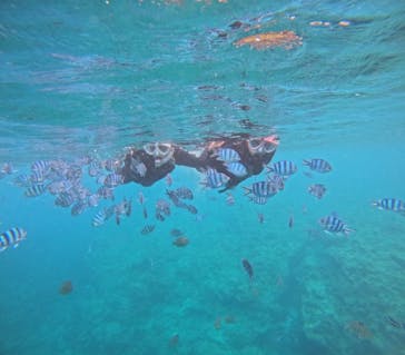 B-nature（ビーネイチャー）に投稿された画像（2025/8/16）