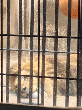 名古屋市東山動植物園に投稿された画像（2025/8/16）