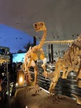 福井県立恐竜博物館に投稿された画像（2025/8/16）