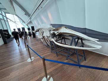 環境水族館アクアマリンふくしまに投稿された画像（2025/8/16）