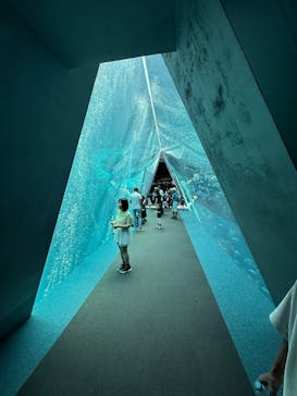 環境水族館アクアマリンふくしまに投稿された画像（2025/8/16）